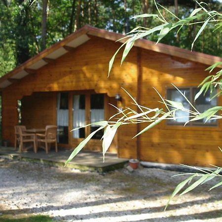 Bospark De Brenkberg Schinveld ภายนอก รูปภาพ