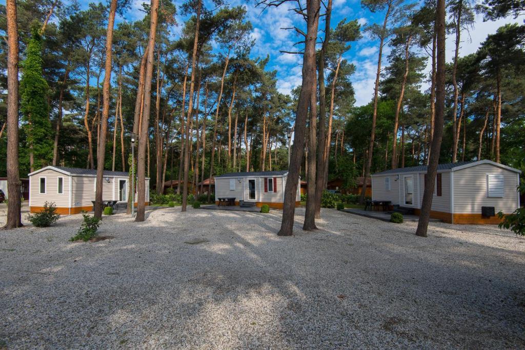 Bospark De Brenkberg Schinveld ห้อง รูปภาพ